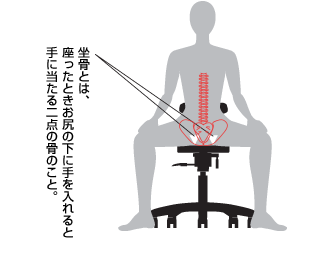 坐骨の位置